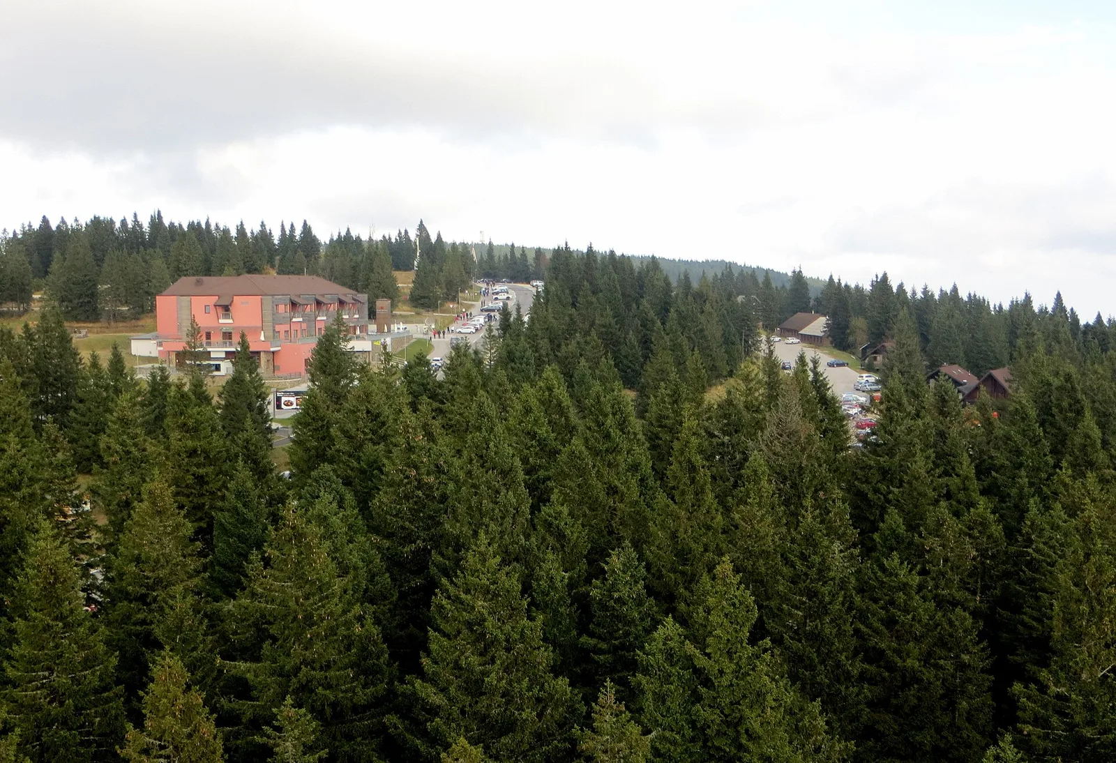 Rogla