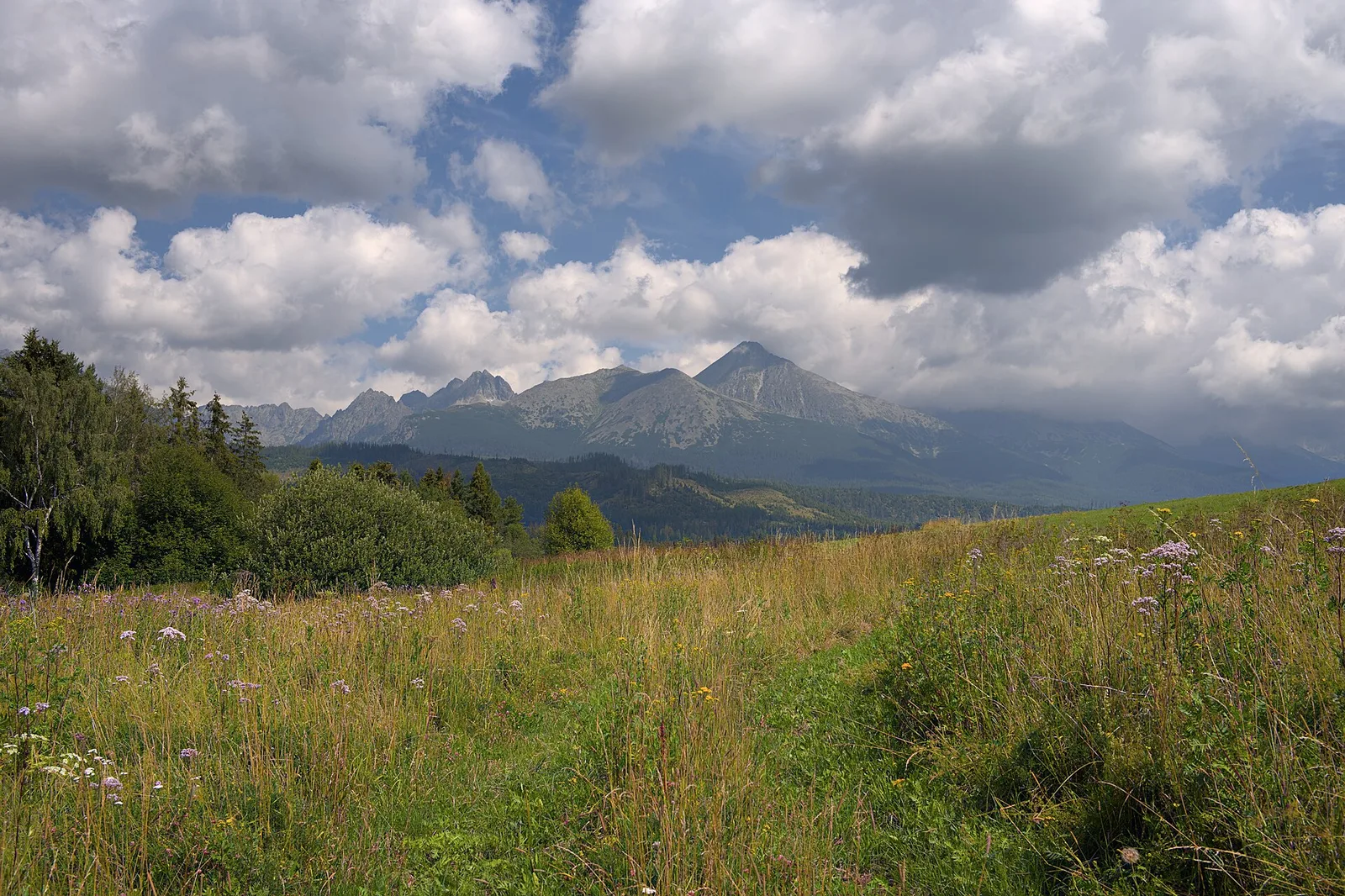 High Tatras and Spis