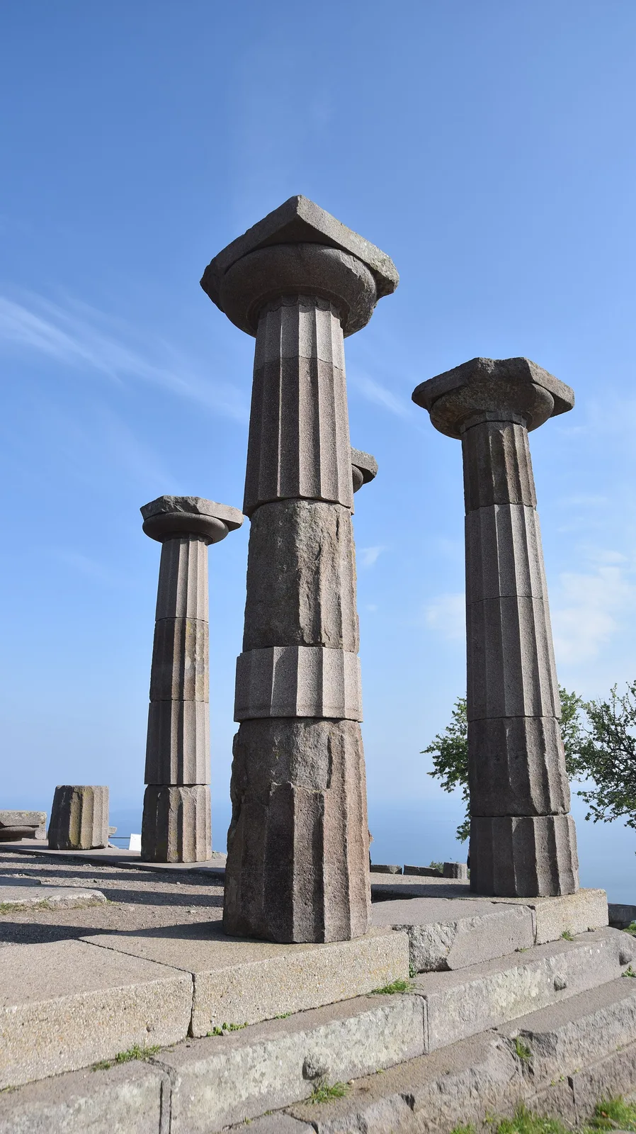 Assos