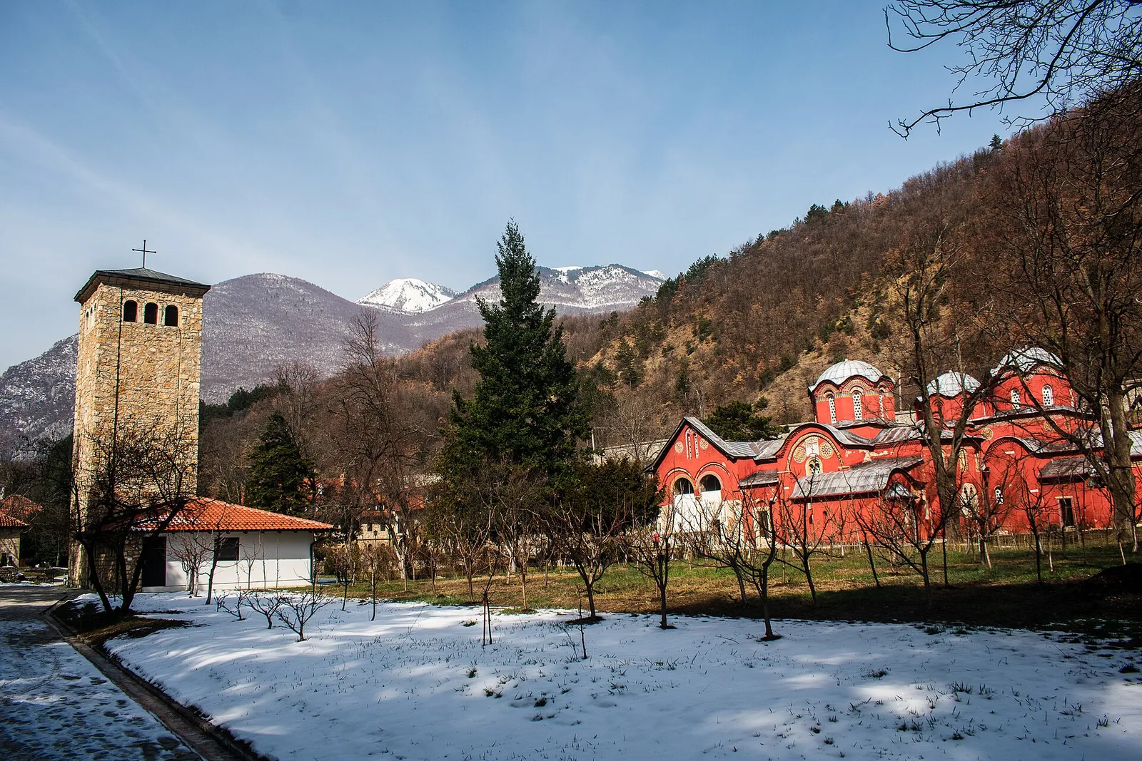 Peja